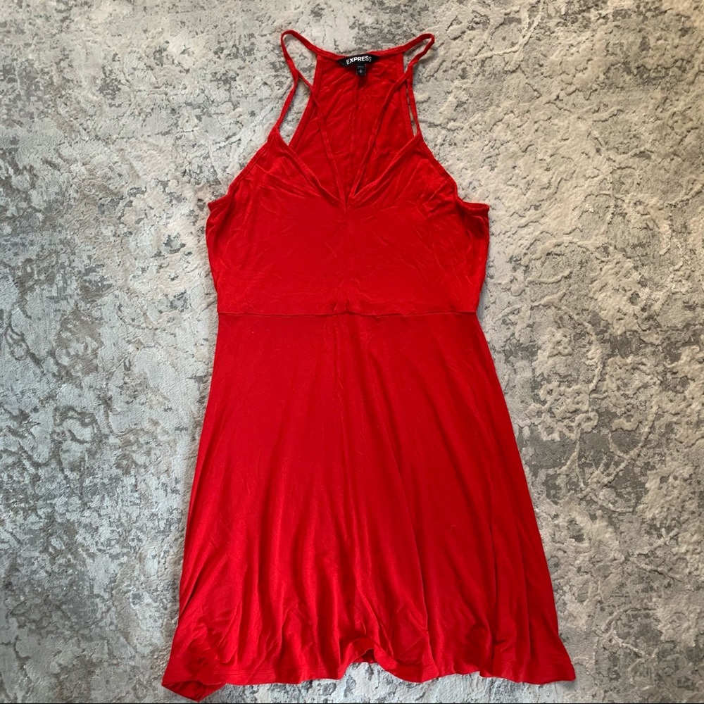 Express Skater Dress